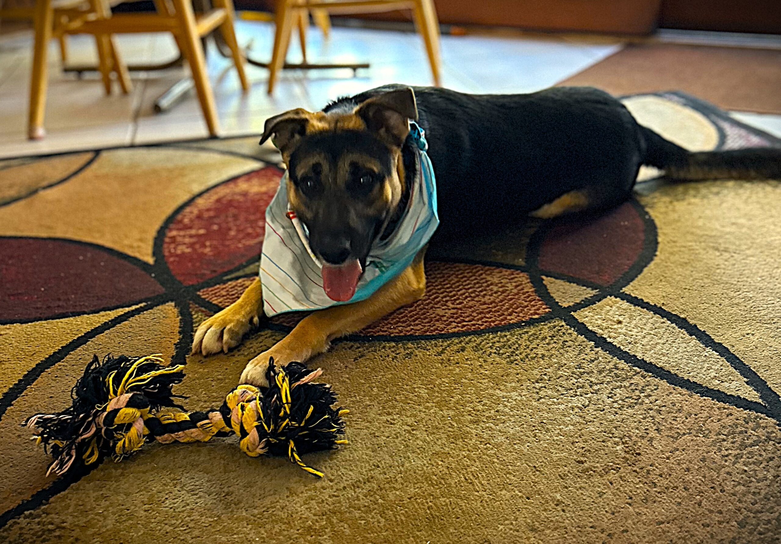 Chance playing with his rope